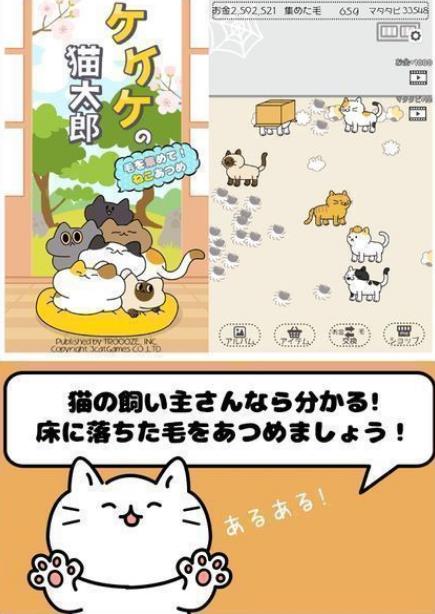 毛团猫太郎安卓版(休闲养猫游戏) v1.3.0 手机中文版