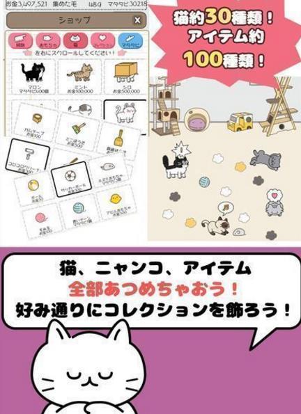 毛团猫太郎安卓版(休闲养猫游戏) v1.3.0 手机中文版