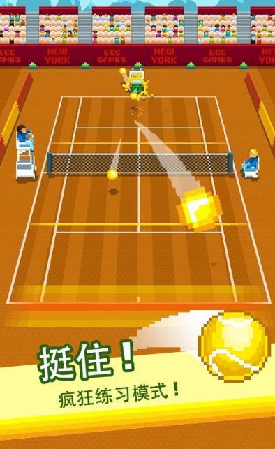 嘿嘿网球安卓正式版(从东京到柏林) v1.22.00 手机版