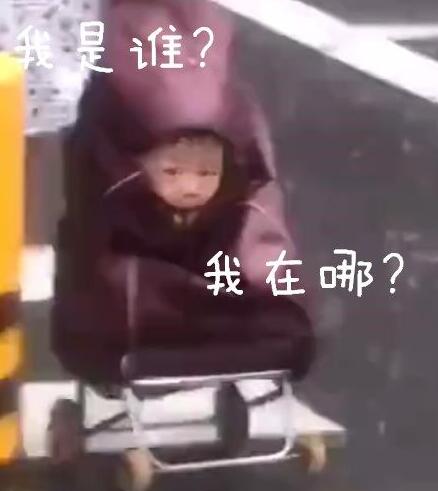 暴雨孩子塞买菜车花式避雨懵逼表情包