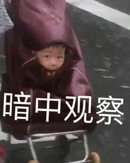 暴雨孩子塞买菜车花式避雨懵逼表情包