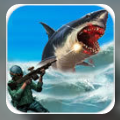 鲨鱼猎杀者安卓游戏(不同的游戏模式) v1.3 手机版