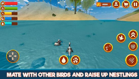 鹈鹕鸟模拟器3D安卓版(避免与猛禽会面) v1.2 手机游戏