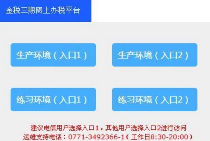 广西地税网上办税平台PC版图片