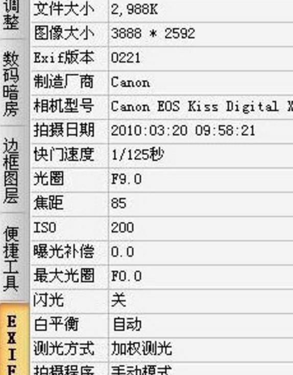 ExifTool gui免激活版介紹