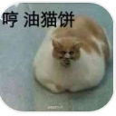 油猫饼表情包