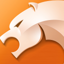 猎豹浏览器2.0正式版