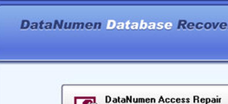 DataNumen Database Recovery最新版截图