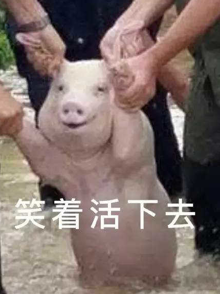 一只微笑的猪表情包电脑版下载