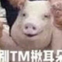 一只微笑的猪表情包电脑版