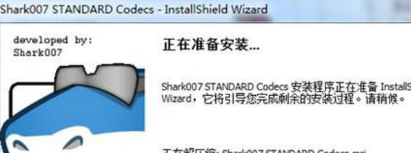 Standard Codecs中文版