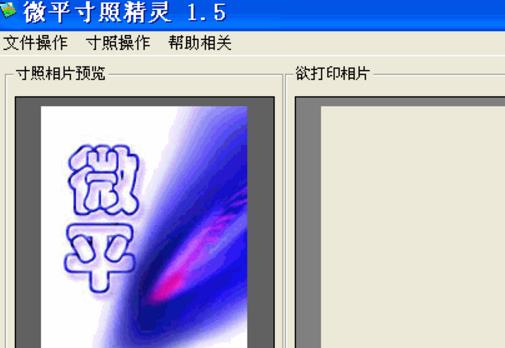 微平寸照精灵绿色版截图