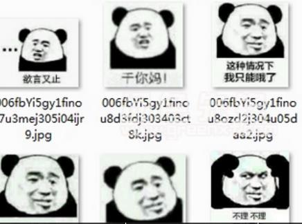 熊猫头怼人表情包免费版图片