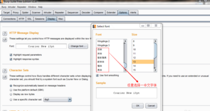 BurpSuite中文乱码问题怎么解决