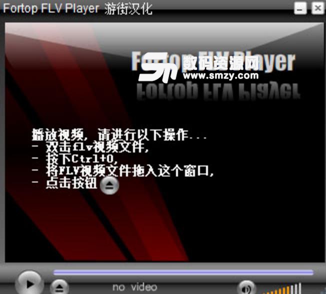 Fortop FLV Player汉化绿色版图片