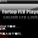 Fortop FLV Player漢化綠色版