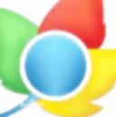 枫树极速浏览器最新免费版