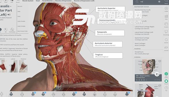 Mac系统中Complete Anatomy和3Dbody哪个更适合医学生学解剖？