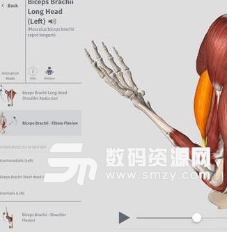 蘋果電腦中Complete Anatomy怎麼使用介紹