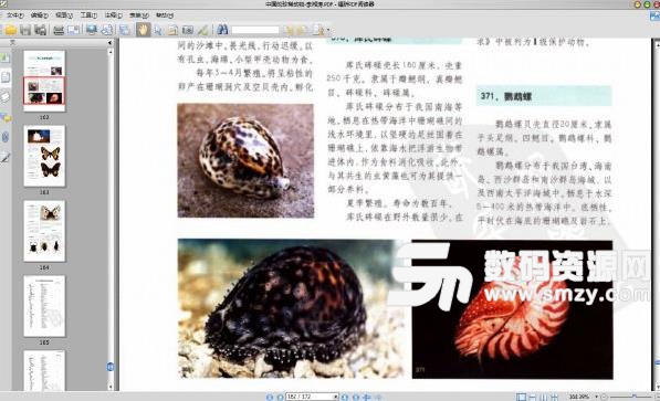 中國珍稀動物學習手冊