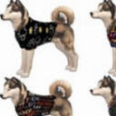模拟人生4狗狗T恤整合包MOD免费版