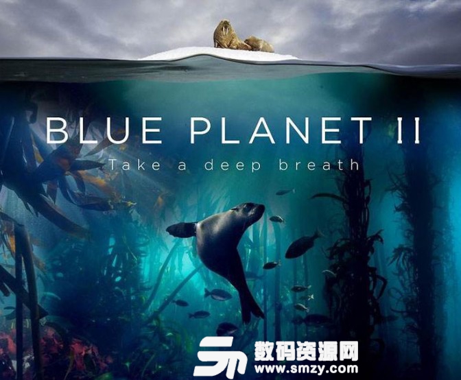 Blue Planet II字幕