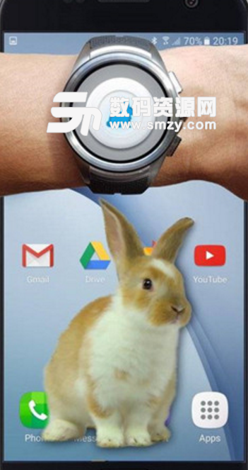 手机的小兔子免费版(养成类型手游) v1.1 安卓版
