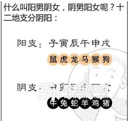 诸葛测字算命大师电脑吧