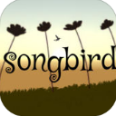 songbird苹果版(魔性休闲游戏) v1.2 ios版