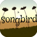 songbird苹果版(魔性休闲游戏) v1.3 ios版