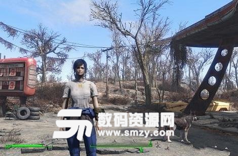 辐射4避难所服装夏季版MOD