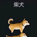 环世界a16萌系动物柴犬MOD