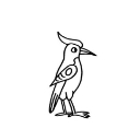 啄木鸟查查苹果版(检查作业) v1.2.5 iPhone版