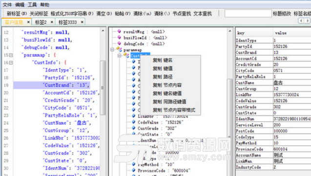 java json格式化工具