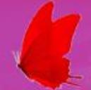 红蝴蝶美容美发试用版