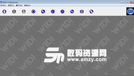 WIDIProfessional免费版