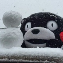 熊本熊下雪了表情包最新版