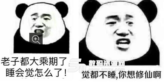 修仙不睡覺qq表情包