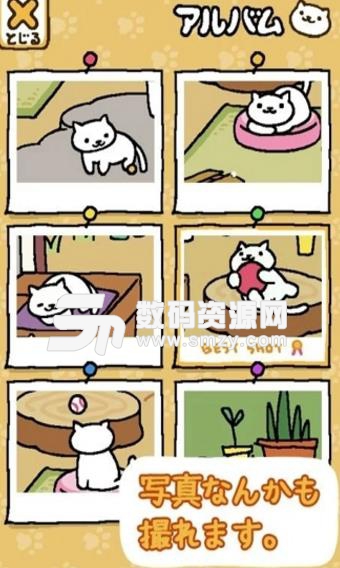猫咪后院中文版v1.7.6 安卓版