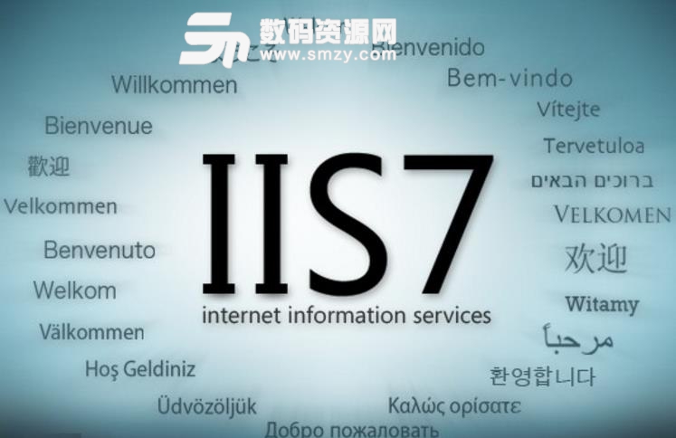 iis服務器自動設置器綠色版下載