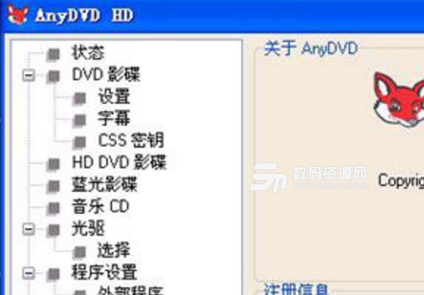 Slysoft AnyDVD