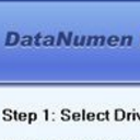 DataNumen Data Recovery专业版