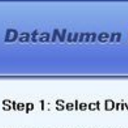 DataNumen Data Recovery專業版