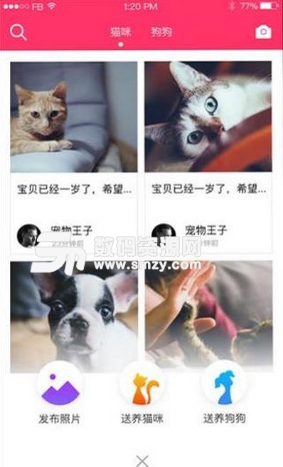 养养宠物IOS苹果版(手机宠物领养APP) v1.3 for iphone 最新版