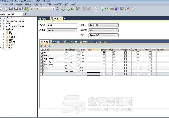 SQLyog中文版