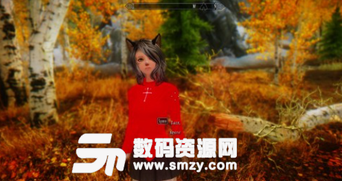 上古卷轴5天际猫女郎雪随从MOD截图