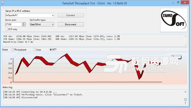 TamoSoft Throughput Test官方版