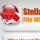 Stellar File Wipe免费版