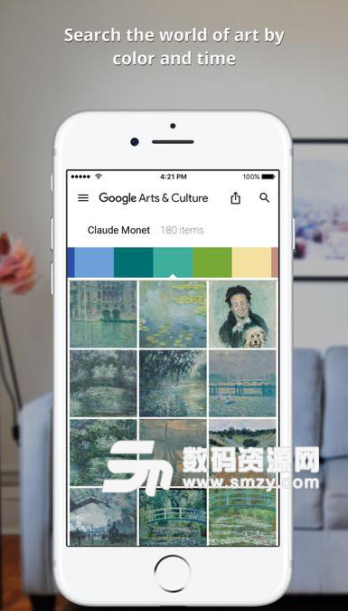 谷歌名画撞脸app安卓版(谷歌艺术与文化) v6.2.5 最新版
