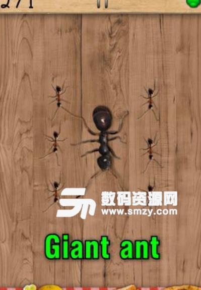 拍蚂蚁安卓最新版(用手指压扁蚂蚁) v7.39 手机版